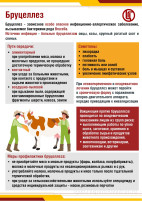 Памятка о профилактике бруцеллеза. Памятка о профилактике бруцеллеза.