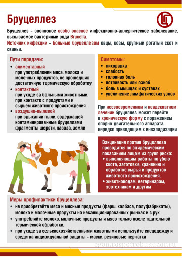 Памятка о профилактике бруцеллеза. Памятка о профилактике бруцеллеза.